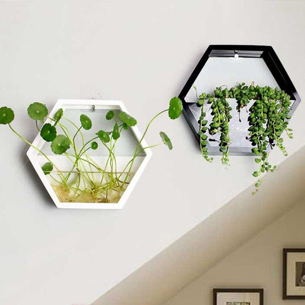 Hexagonal Hydroponic Wall Planter